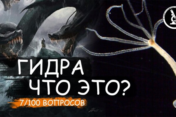 Кракен рабочее зеркало kraken6.at kraken7.at kraken8.at